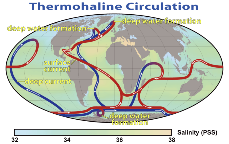 226978-800px-thermohalinecirculation2.png