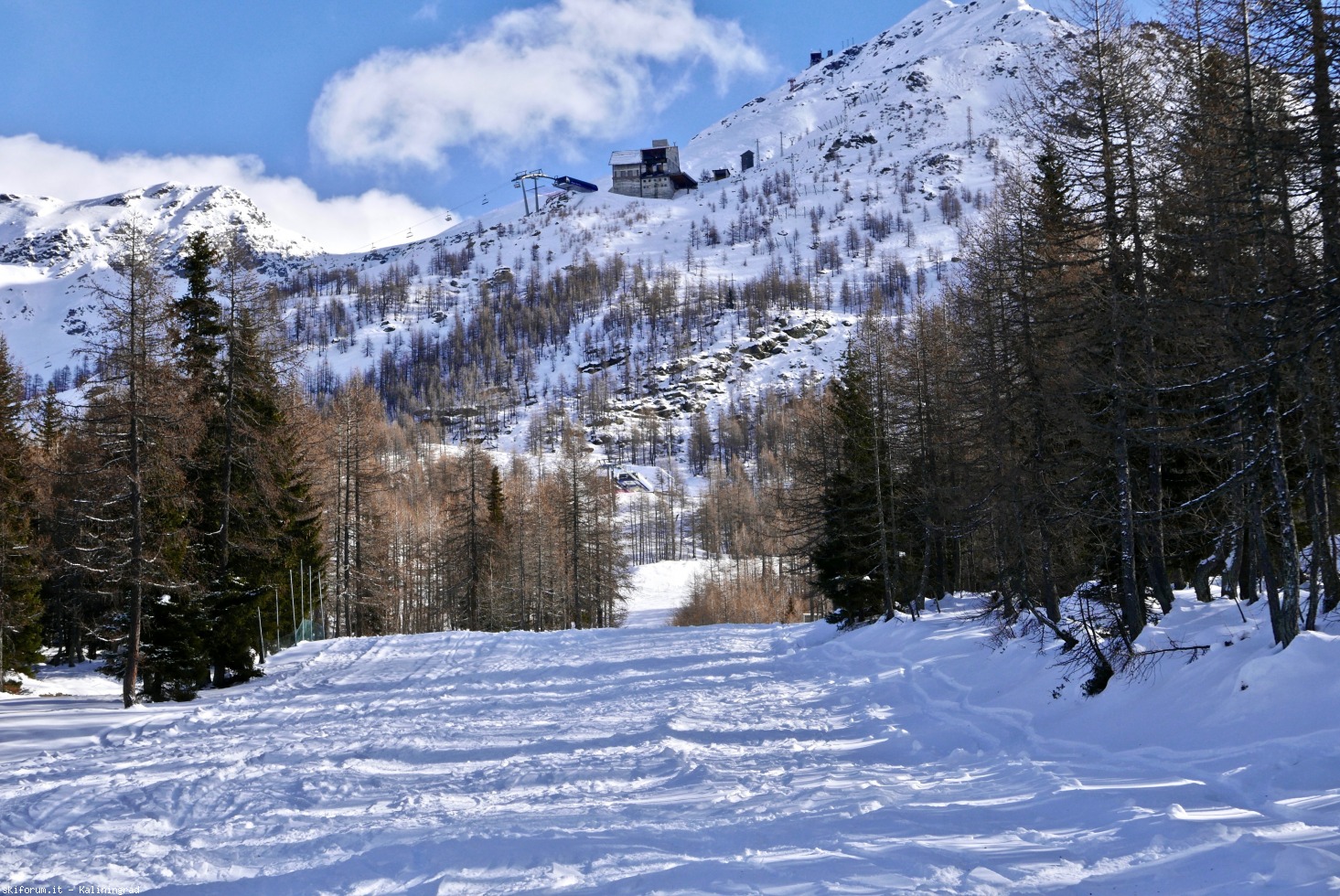 228958-l1010734.jpg