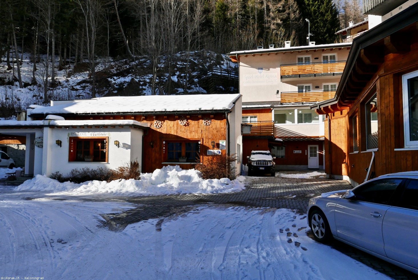 228964-l1010740.jpg