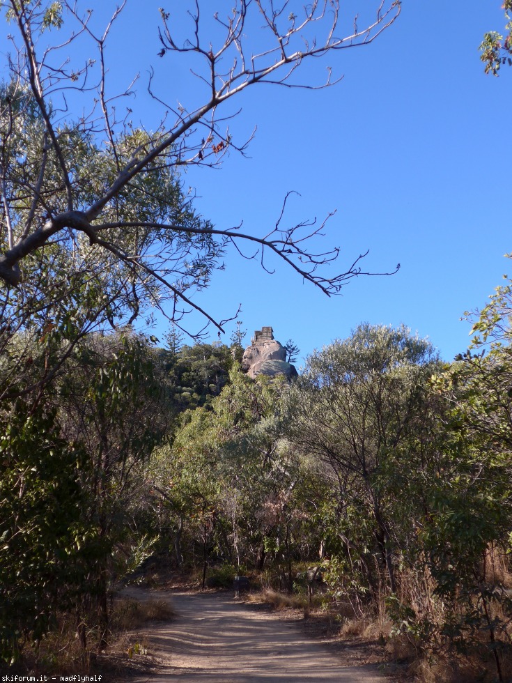 228985-australia-05-051.jpg