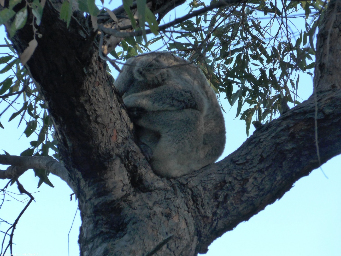228987-australia-05-053.jpg