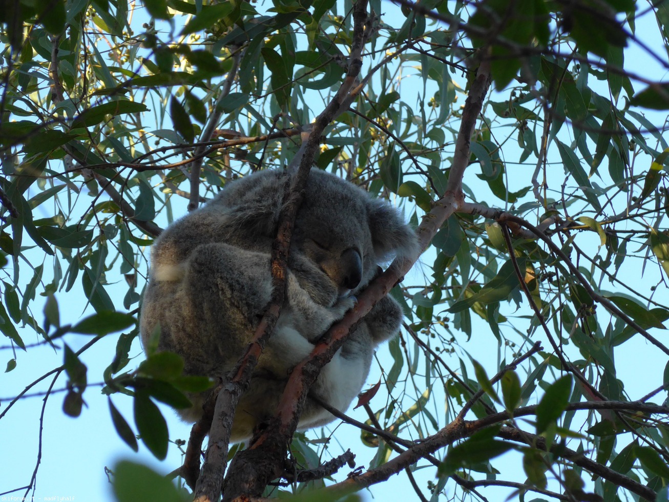 228989-australia-05-055.jpg