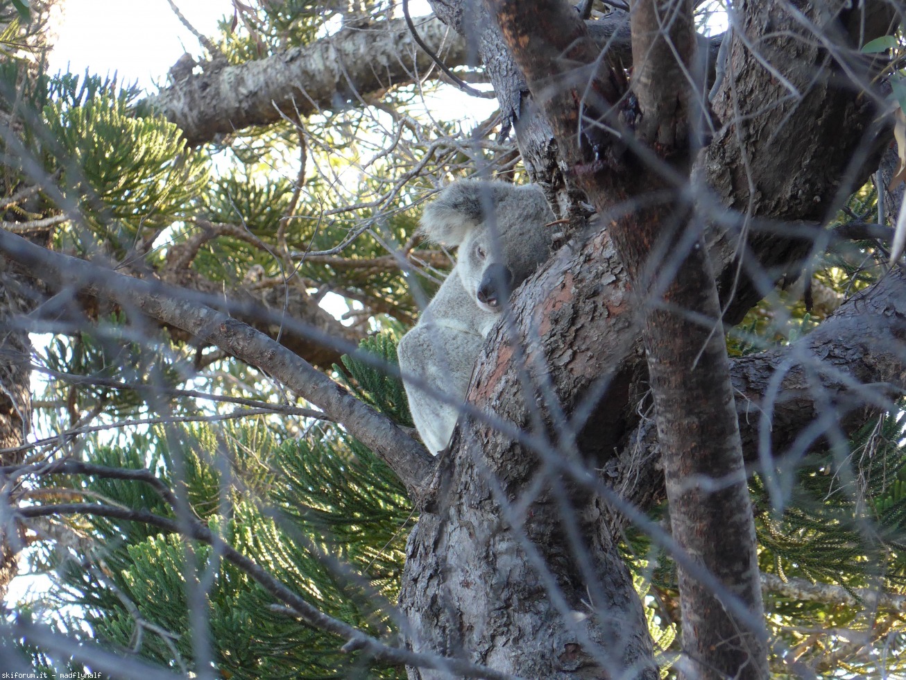 228991-australia-05-057.jpg
