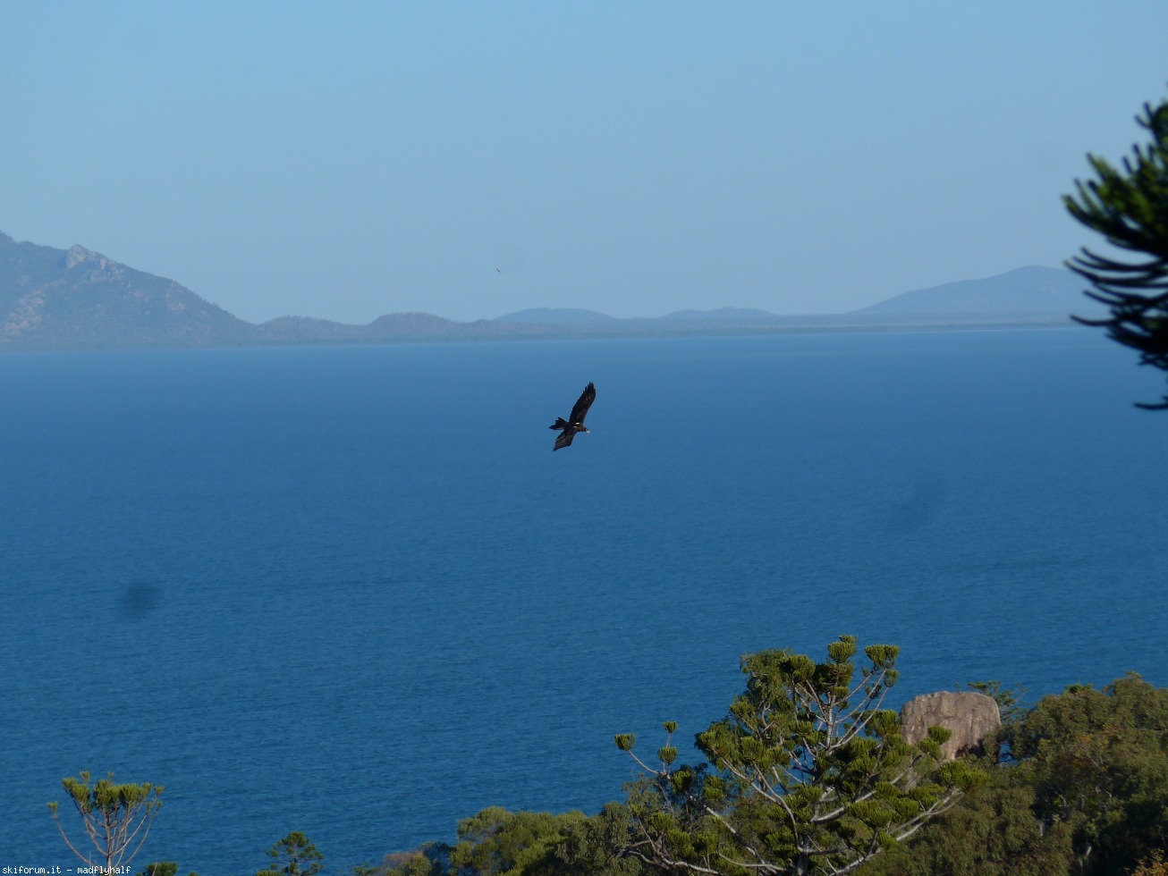 228993-australia-05-059.jpg