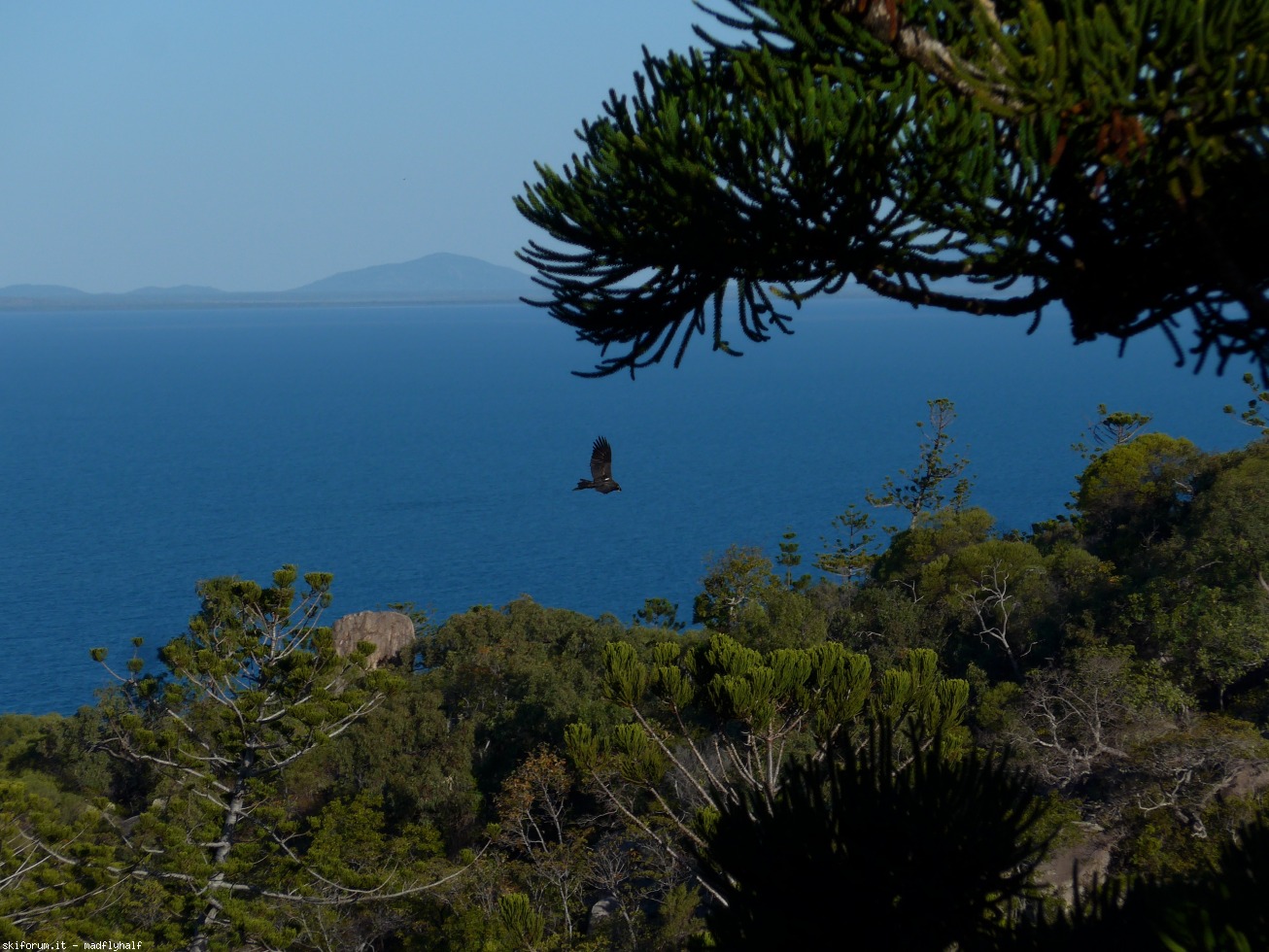 228994-australia-05-060.jpg