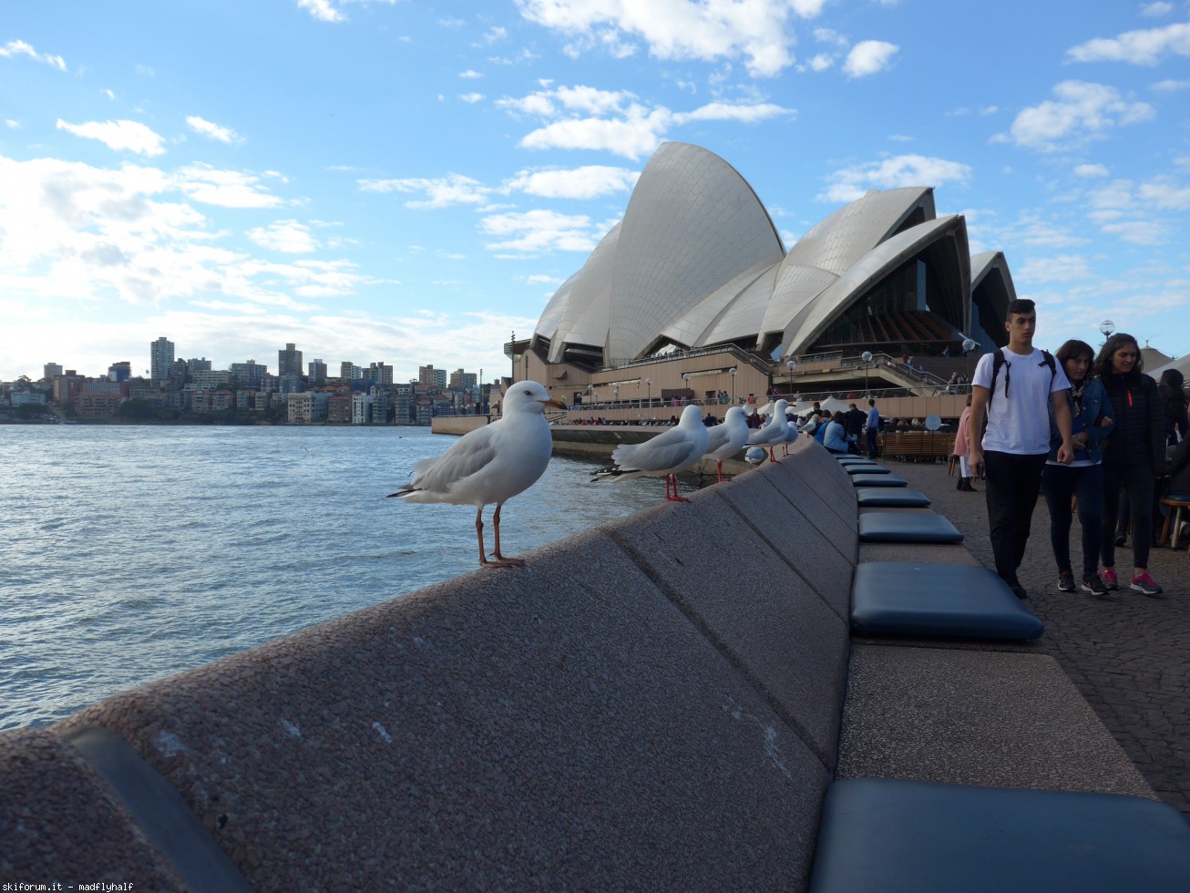 229008-australia-06-071.jpg