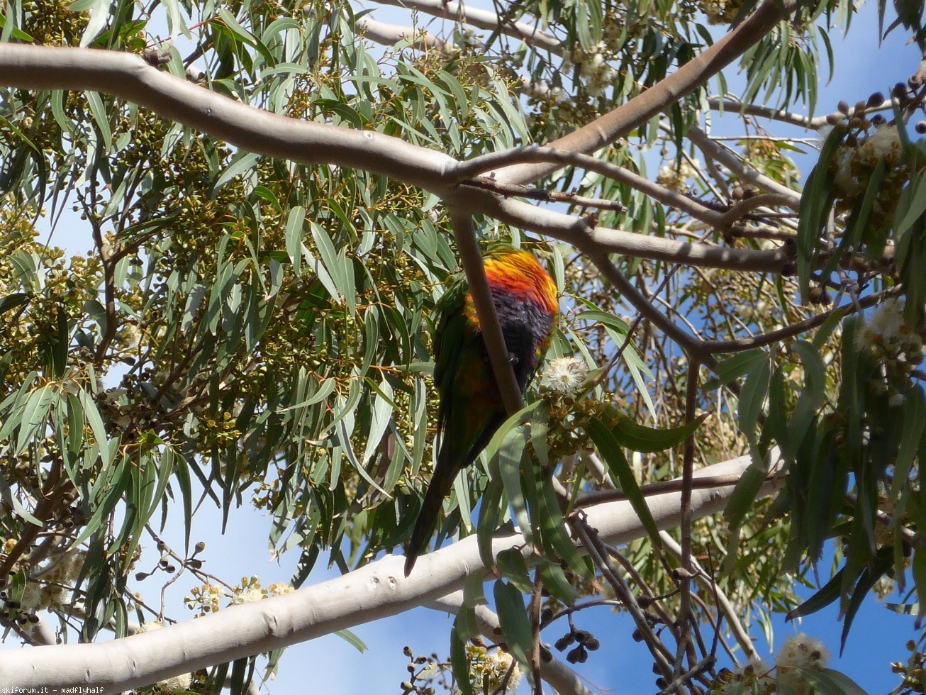 229013-australia-06-076.jpg