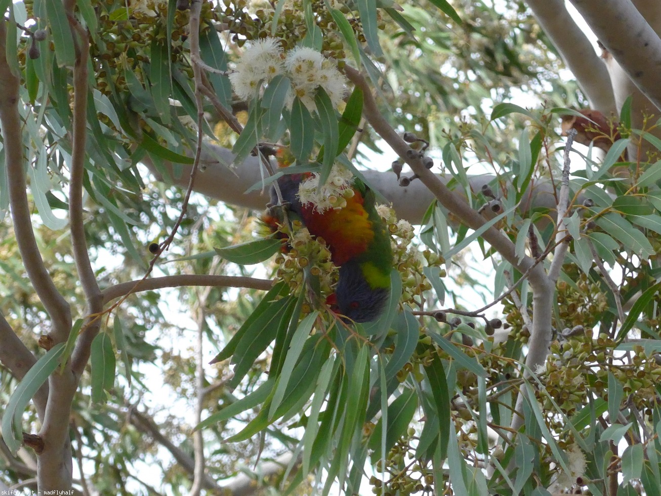229014-australia-06-077.jpg