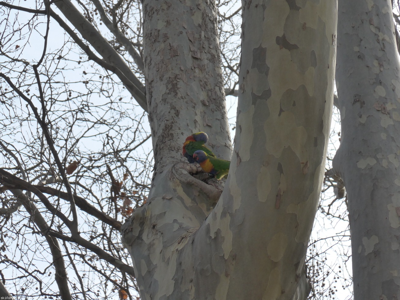 229017-australia-07-078-c.jpg