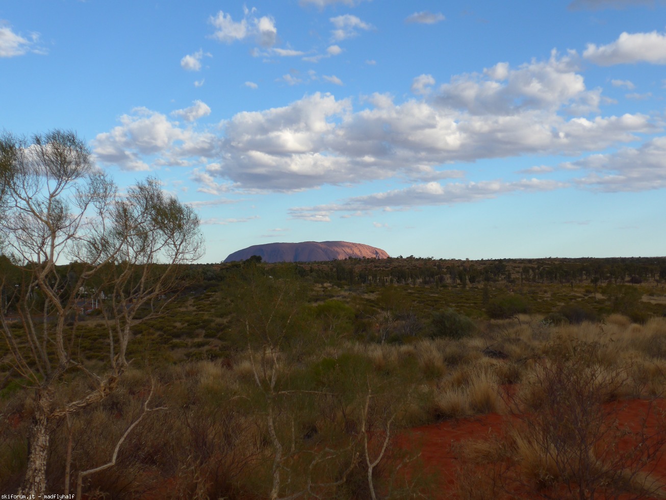 229901-australia-08-093.jpg