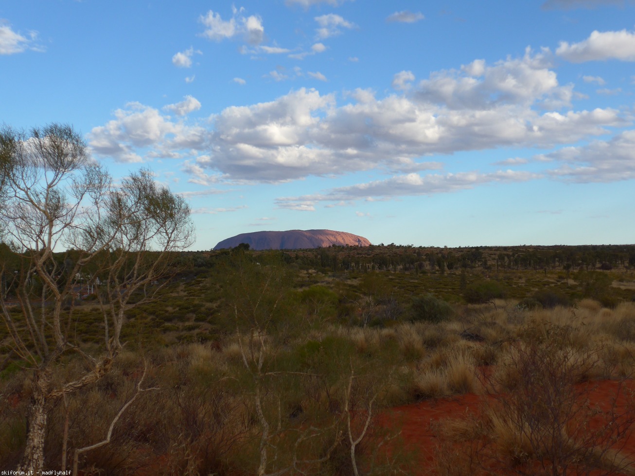 229901-australia-08-093.jpg