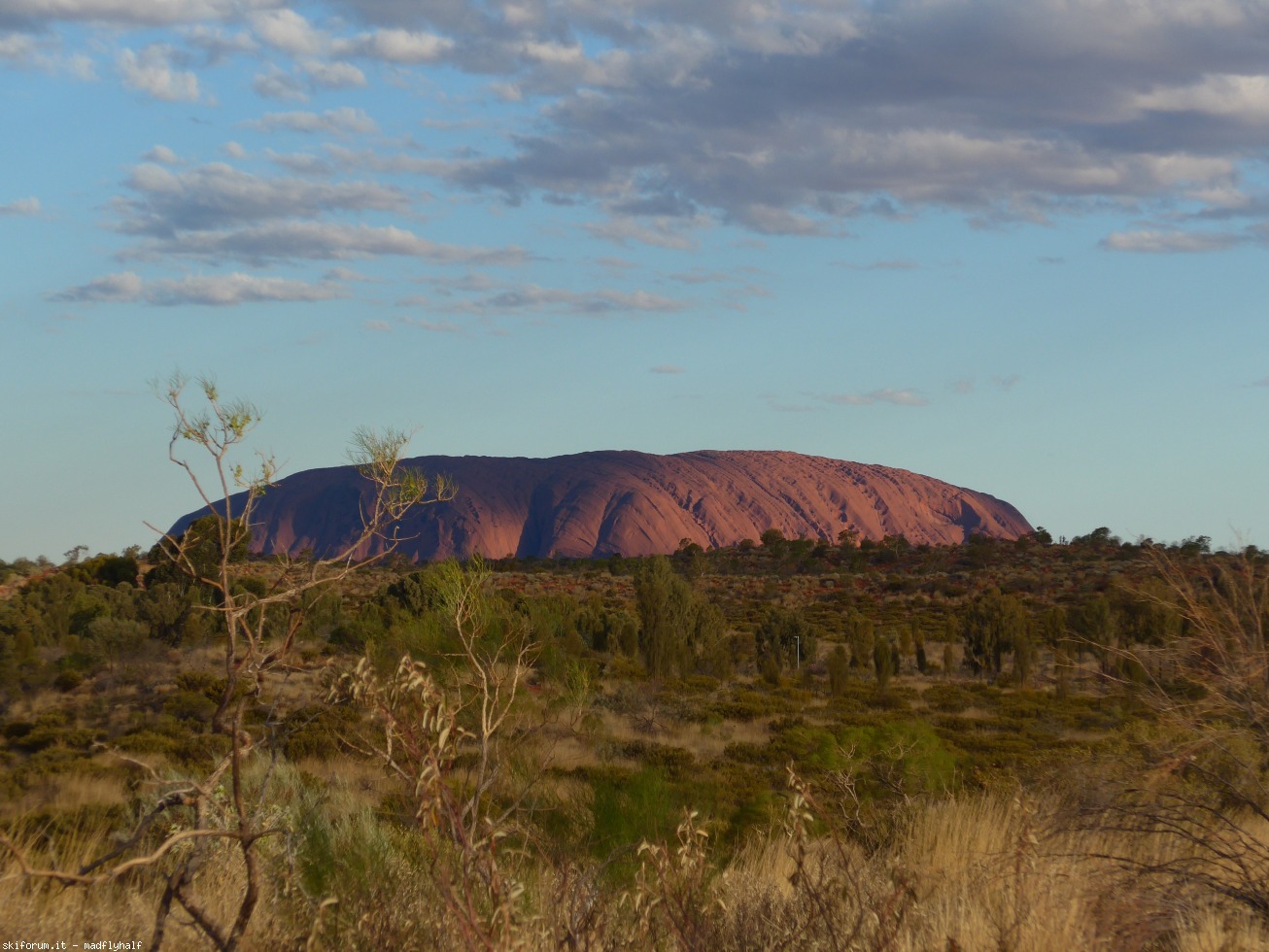 229902-australia-08-094.jpg
