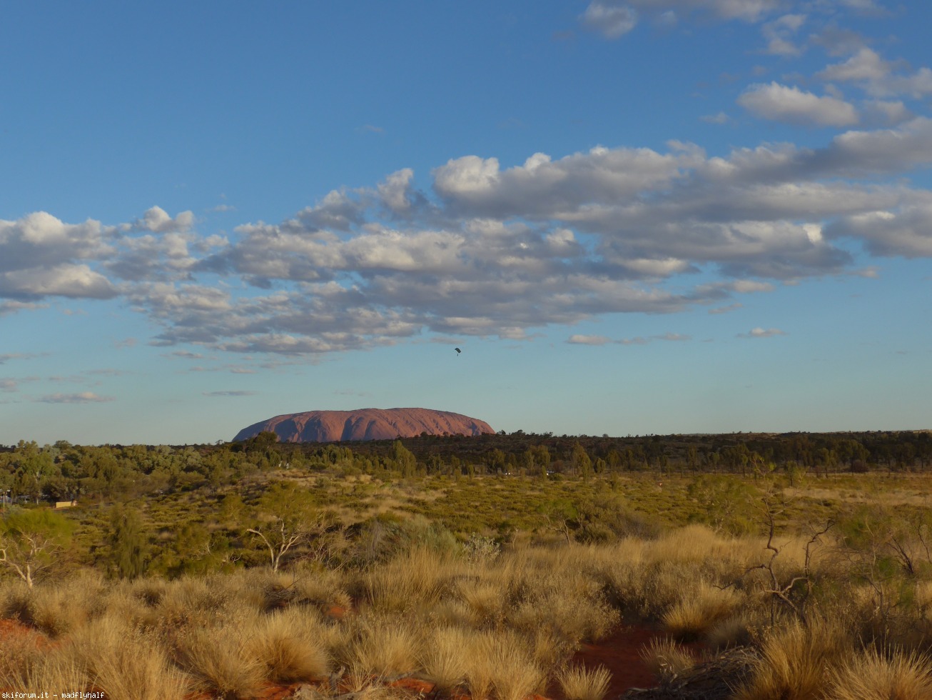 229903-australia-08-095.jpg