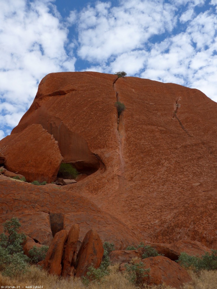 229911-australia-08-103.jpg
