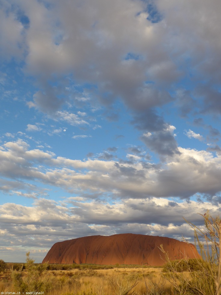 229919-australia-09-113.jpg