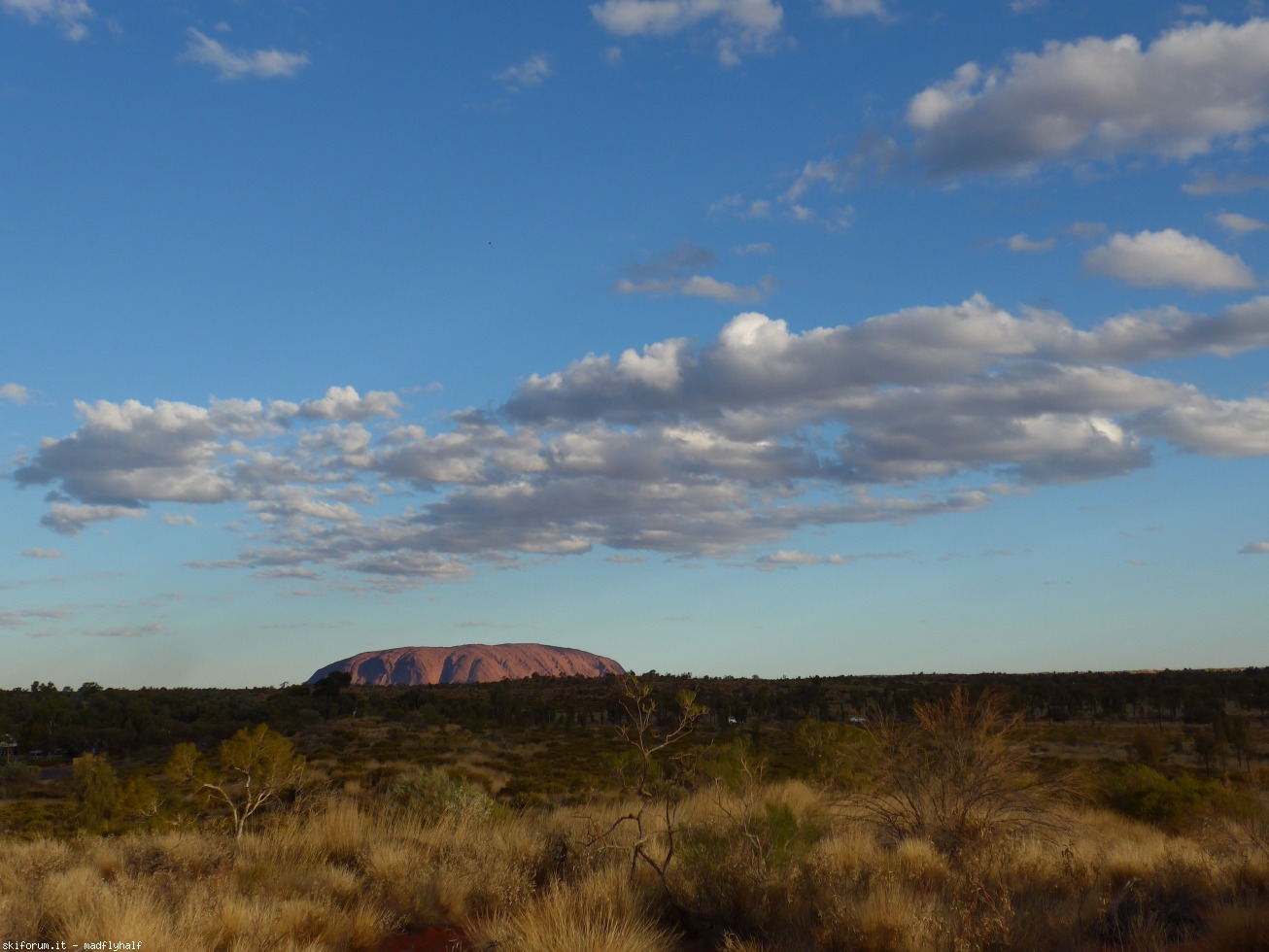 229920-australia-09-114.jpg