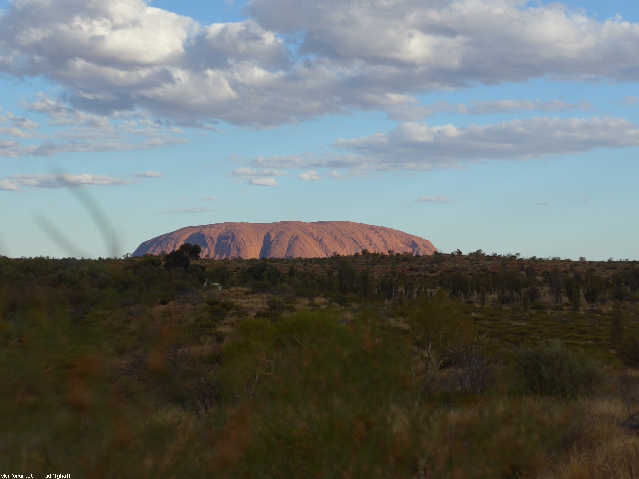 229927-australia-09-p1030046.jpg