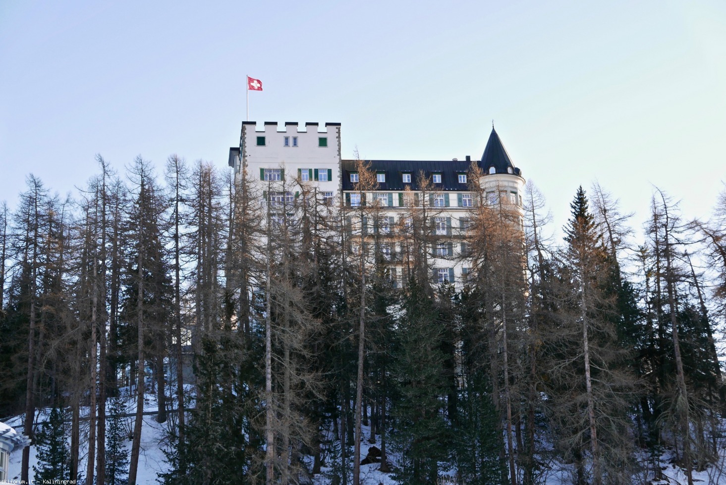 231144-l1010778.jpg