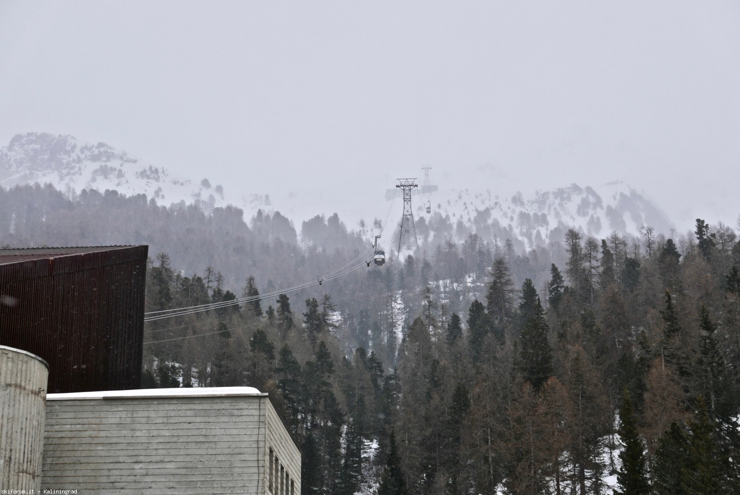231160-l1010804.jpg