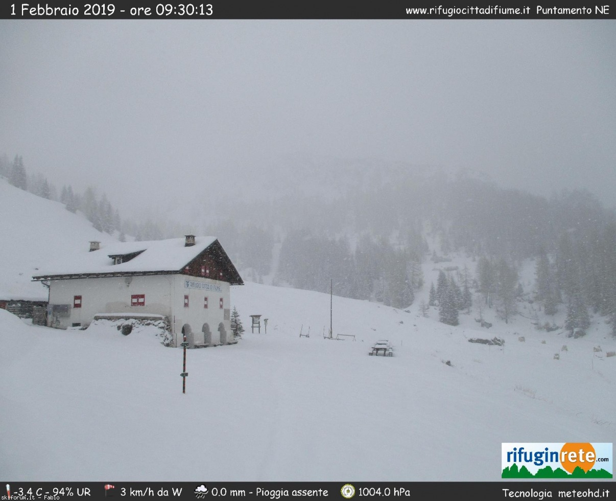 232984-webcam-neve-1-febbraio-2019-cam.jpg