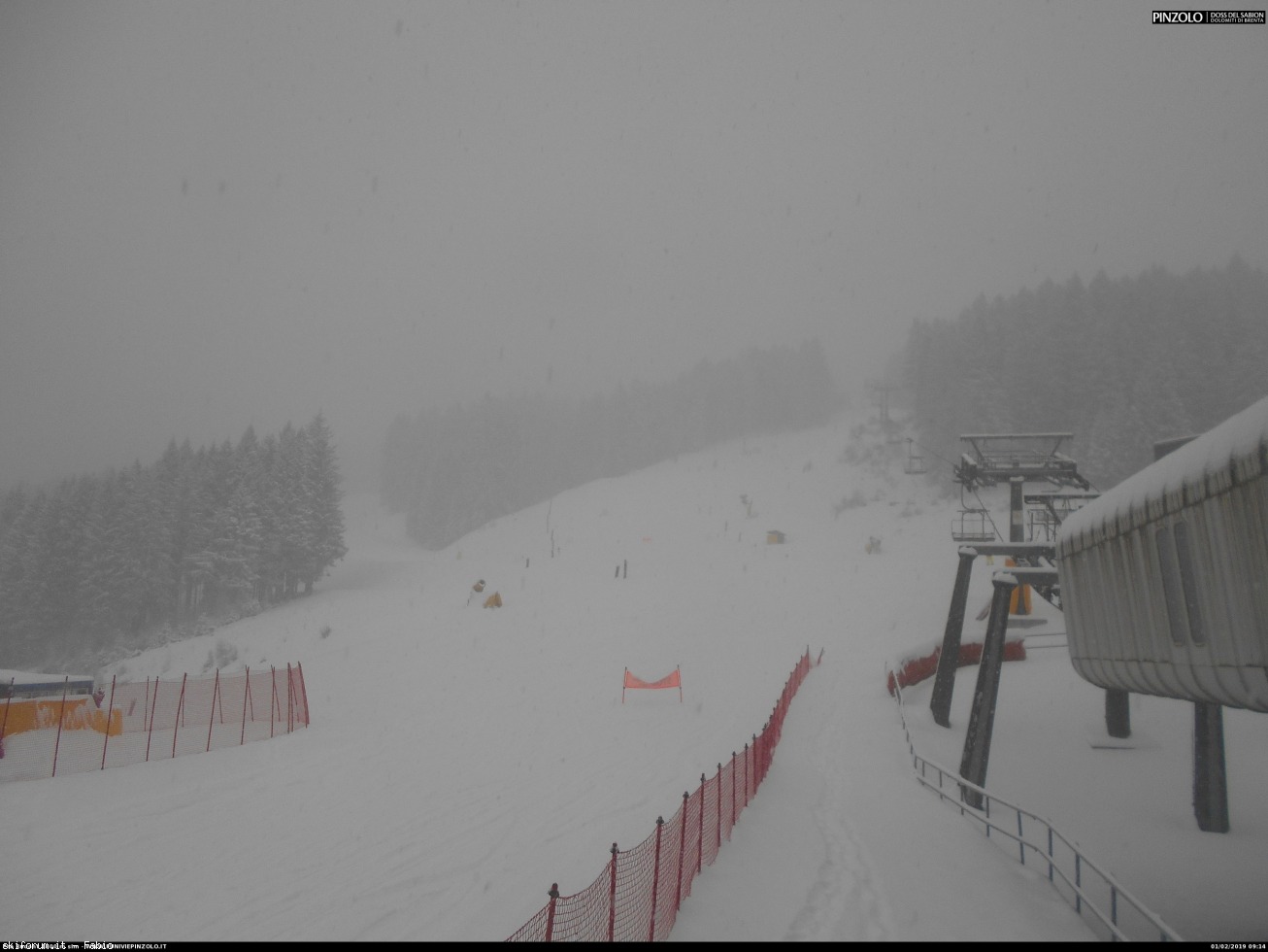 232985-webcam-neve-1-febbraio-2019-campinzolo114009.jpg