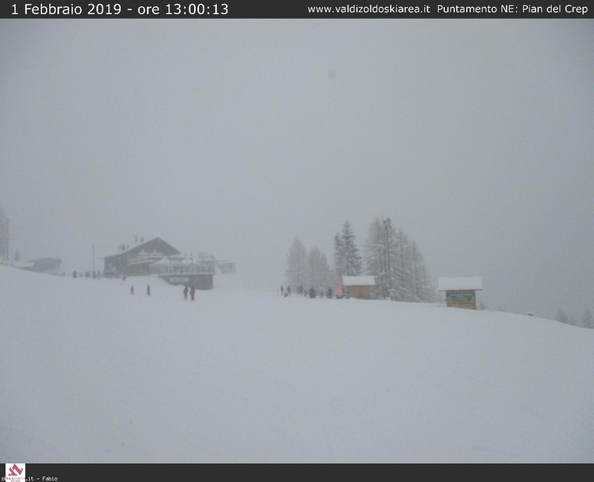 233007-webcam-neve-1-febbraio-2019-41838100.jpg