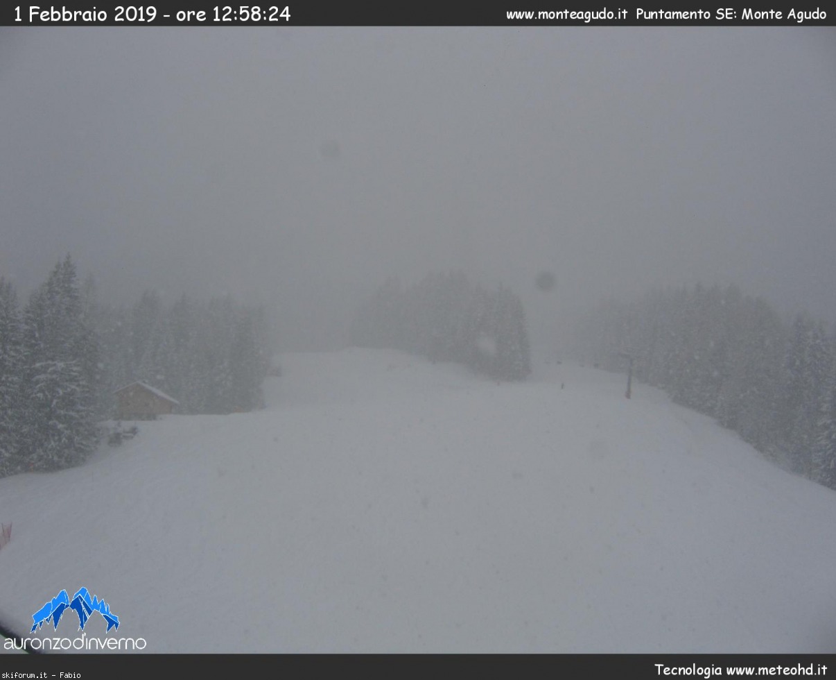 233010-webcam-neve-1-febbraio-2019-cam.jpg