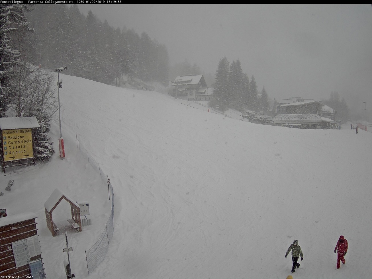 233030-pontedilegno.jpg