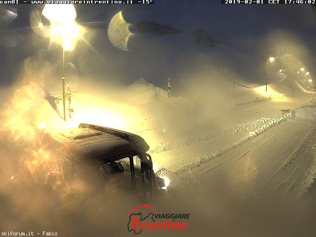 233056-cam81.jpg