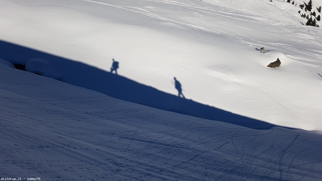 235243-20190215093109.jpg