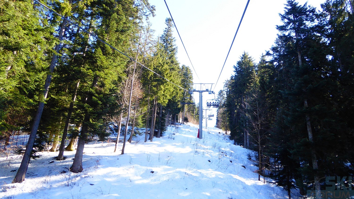 235908-pierre-chartreuse-ski-18.jpg