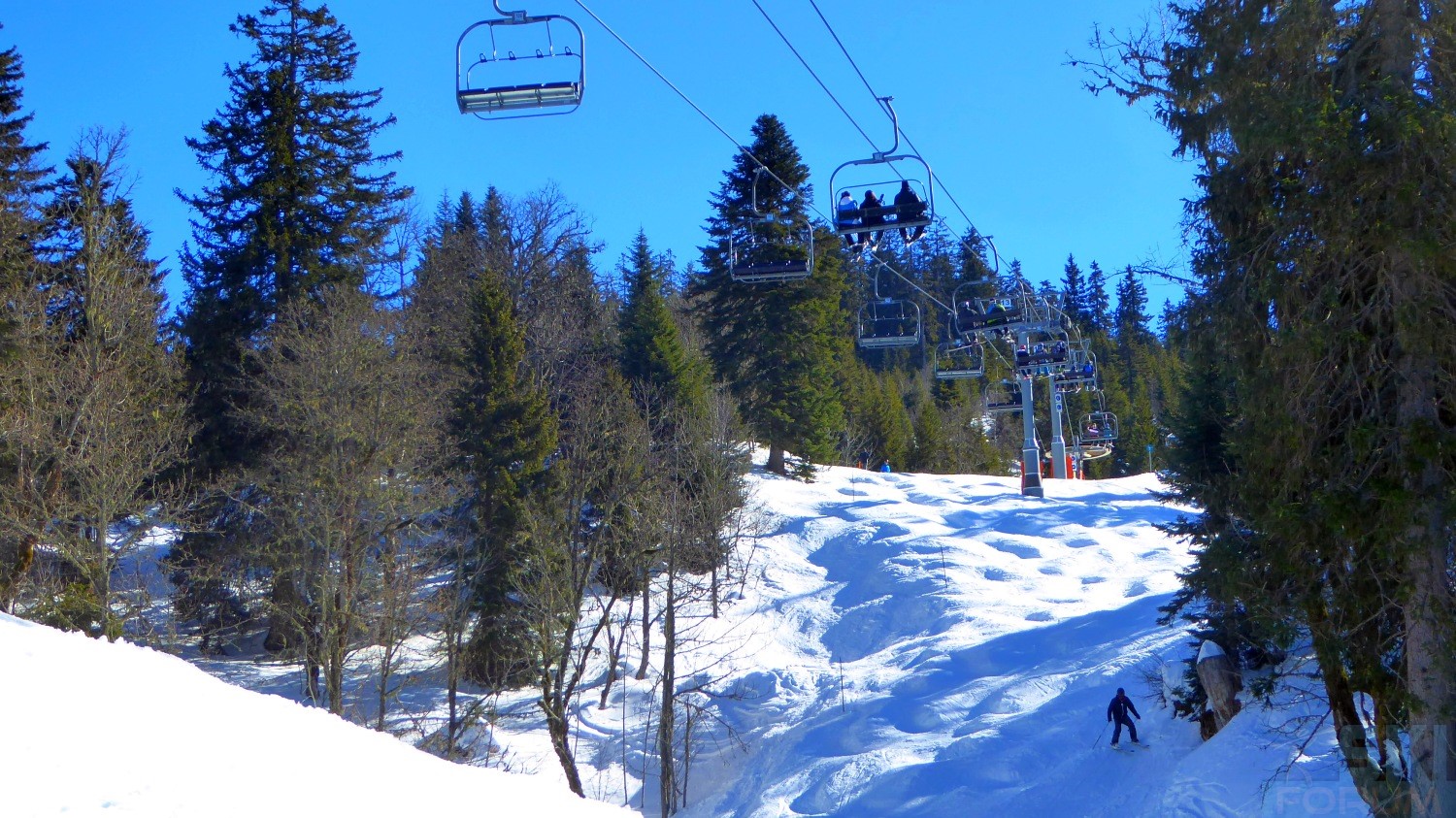 235940-pierre-chartreuse-ski-46.jpg