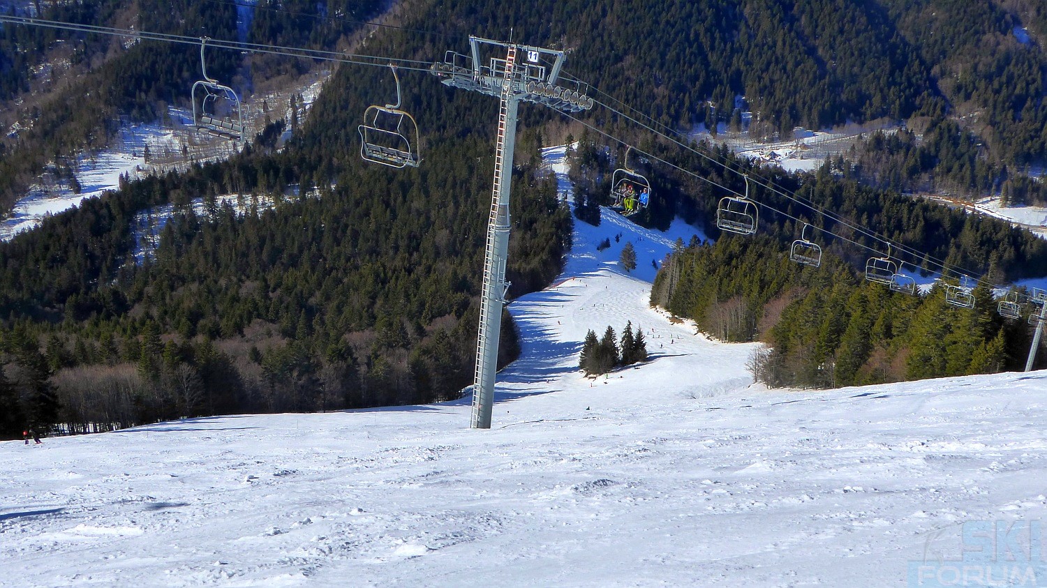 235941-pierre-chartreuse-ski-47.jpg