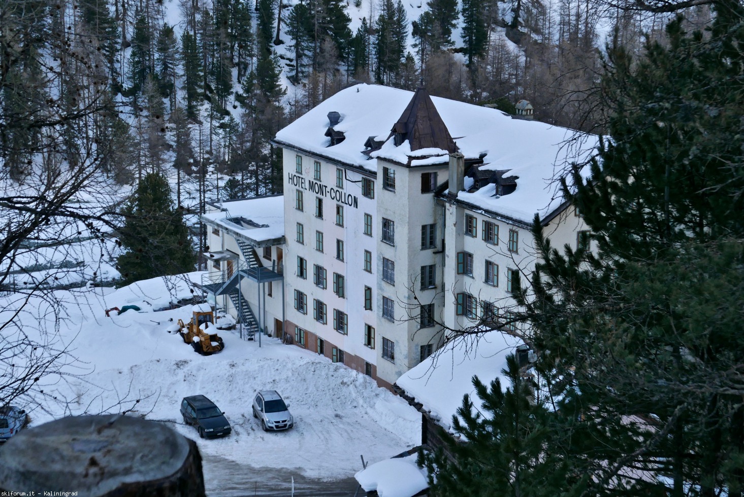 236890-l1010846.jpg