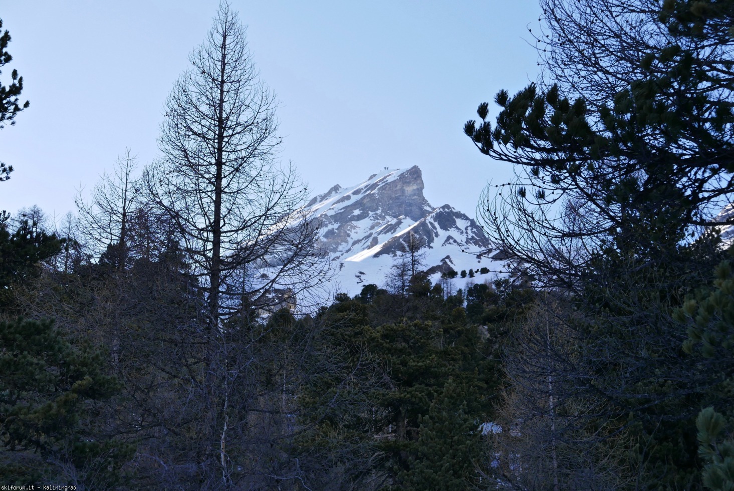 236894-l1010810.jpg