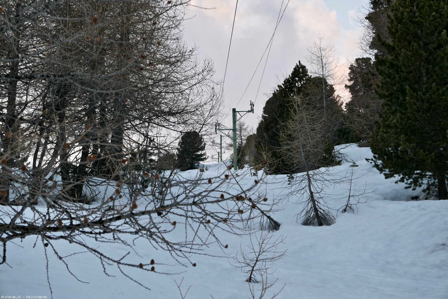 236913-l1010857.jpg