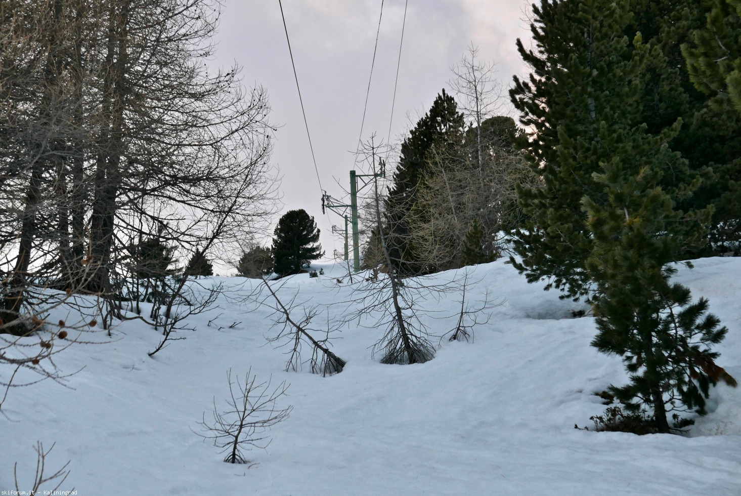 236914-l1010858.jpg