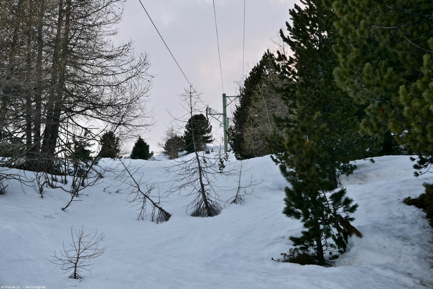 236916-l1010861.jpg