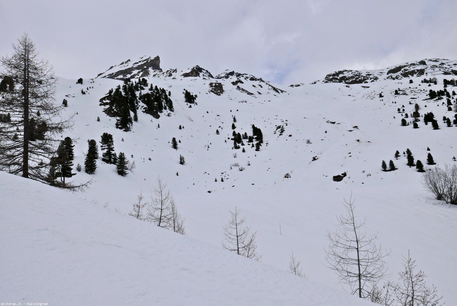 236924-l1010873.jpg