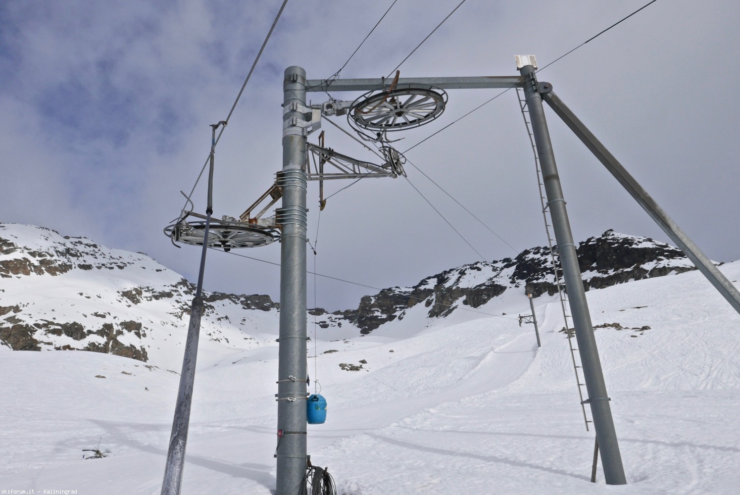 236934-l1010886.jpg