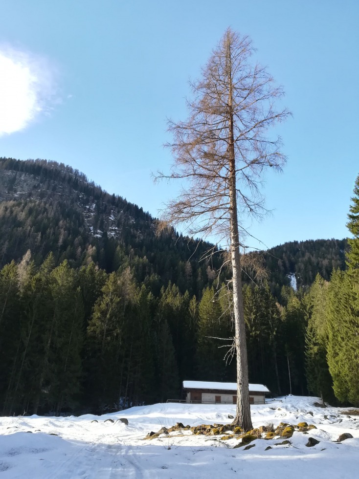 238445-val-di-lares-16-marzo-2019-30.jpg