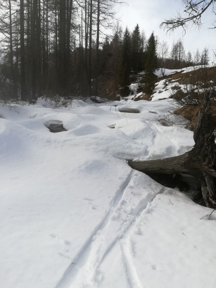 238457-val-di-lares-16-marzo-2019-77.jpg