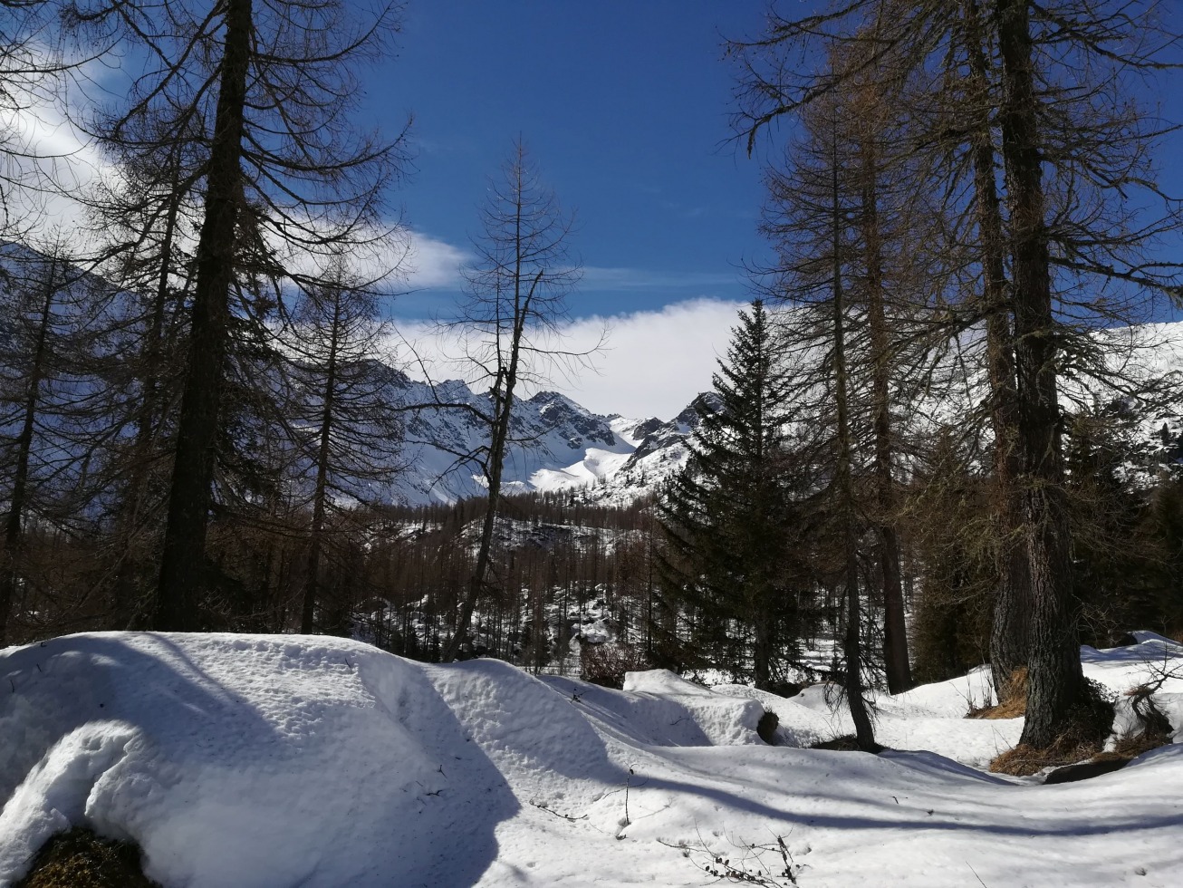 238467-val-di-lares-16-marzo-2019-45.jpg