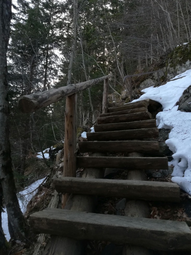 238468-val-di-lares-16-marzo-2019-37.jpg
