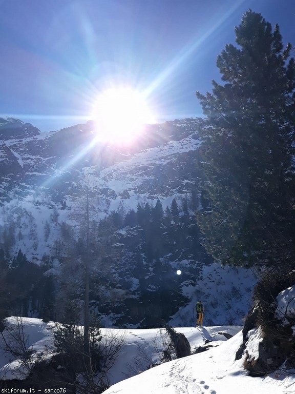 238885-img-20190324-wa0008.jpg