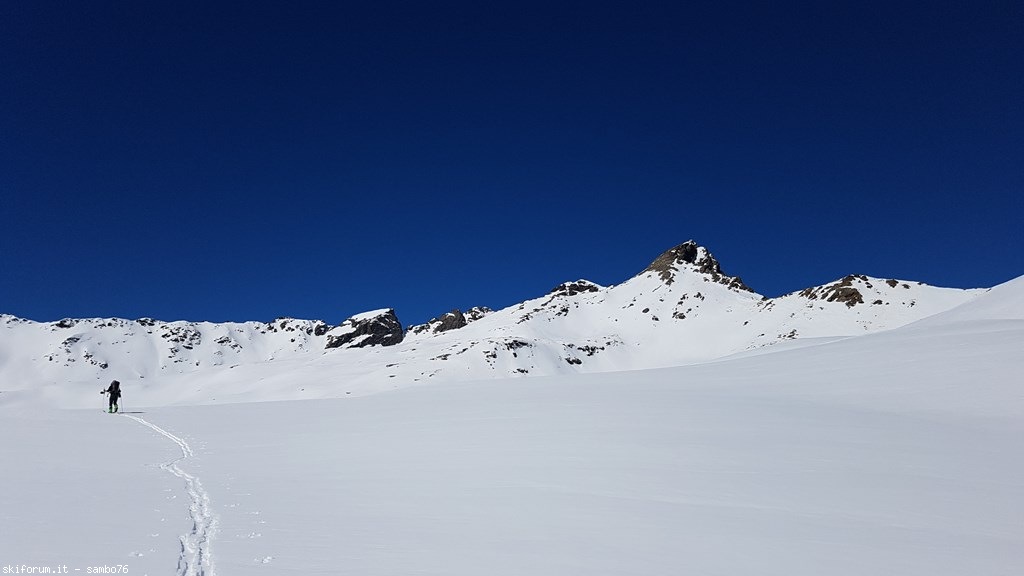 238898-20190323120212.jpg