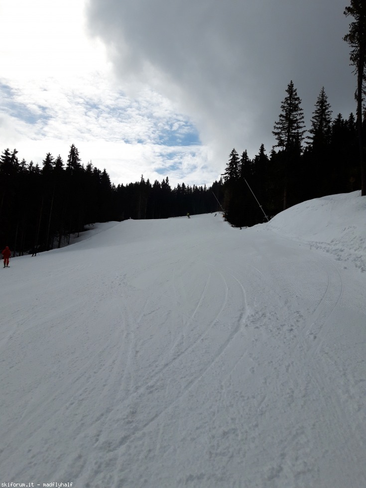240166-schoeneben-belpiano-7-aprile-2019-20190407103627.jpg