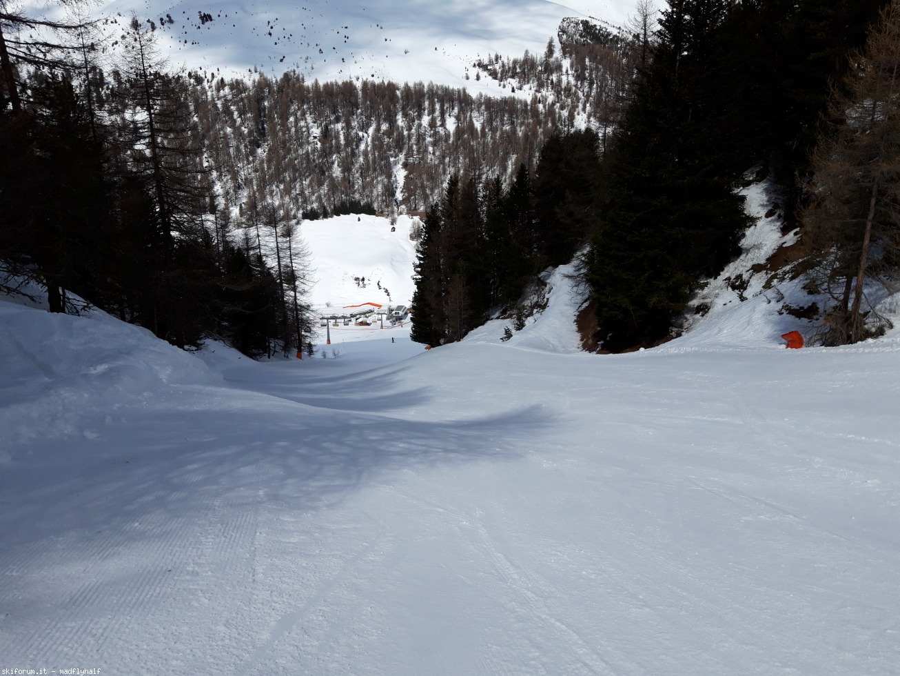 240174-schoeneben-belpiano-7-aprile-2019-20190407113048.jpg