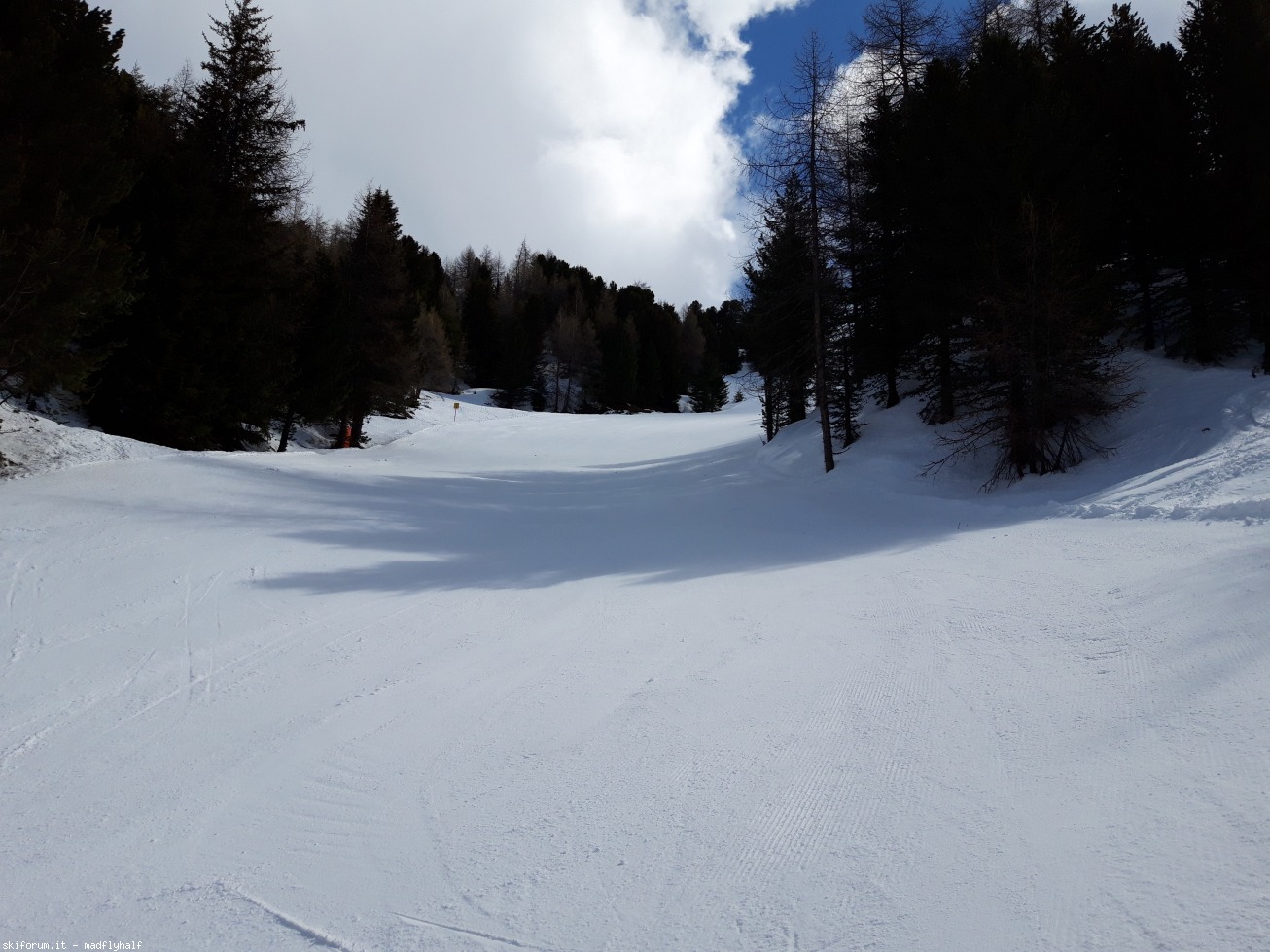 240175-schoeneben-belpiano-7-aprile-2019-20190407113053.jpg