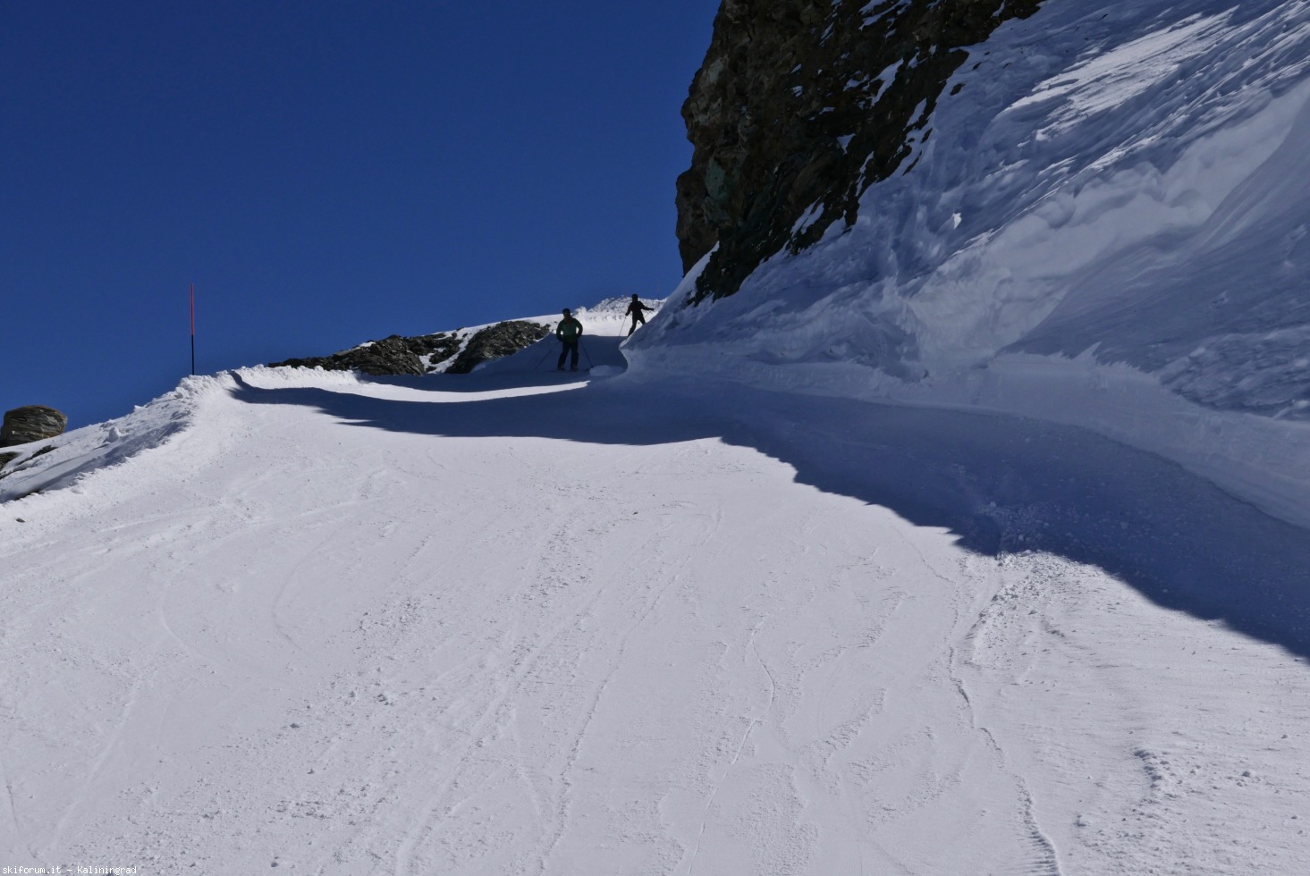 240256-l1010928.jpg